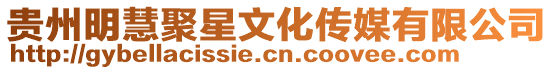 貴州明慧聚星文化傳媒有限公司