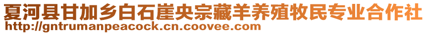 夏河縣甘加鄉(xiāng)白石崖央宗藏羊養(yǎng)殖牧民專(zhuān)業(yè)合作社