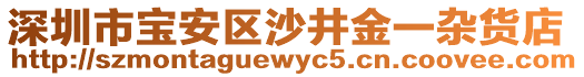 深圳市寶安區(qū)沙井金一雜貨店