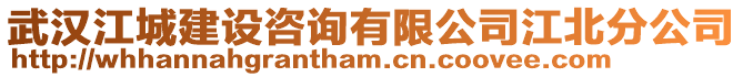 武漢江城建設(shè)咨詢有限公司江北分公司