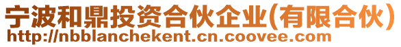 寧波和鼎投資合伙企業(yè)(有限合伙)