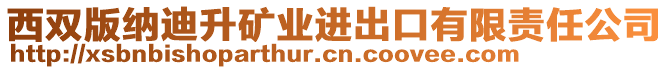 西雙版納迪升礦業(yè)進(jìn)出口有限責(zé)任公司