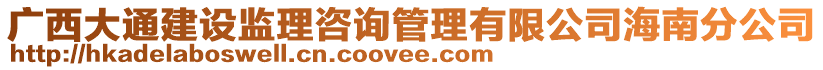 廣西大通建設監理咨詢管理有限公司海南分公司