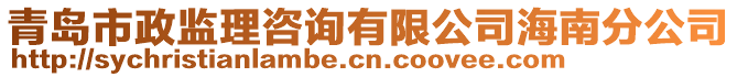 青島市政監(jiān)理咨詢有限公司海南分公司