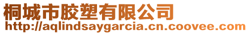 桐城市膠塑有限公司