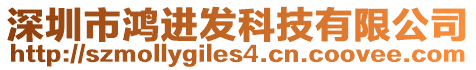 深圳市鴻進發科技有限公司