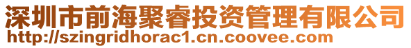 深圳市前海聚睿投資管理有限公司