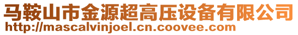 馬鞍山市金源超高壓設(shè)備有限公司