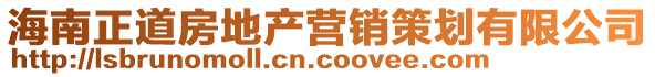 海南正道房地產(chǎn)營銷策劃有限公司