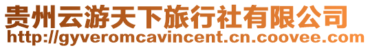 貴州云游天下旅行社有限公司