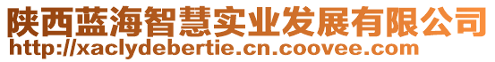 陜西藍海智慧實業發展有限公司