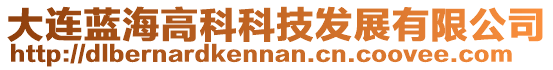 大連藍海高科科技發(fā)展有限公司