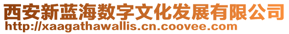 西安新藍海數字文化發展有限公司