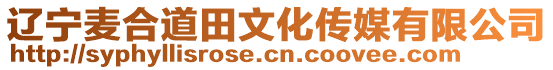 遼寧麥合道田文化傳媒有限公司