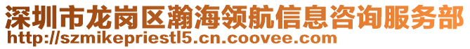 深圳市龍崗區瀚海領航信息咨詢服務部