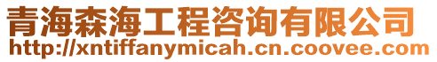 青海森海工程咨詢有限公司