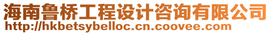 海南魯橋工程設(shè)計咨詢有限公司