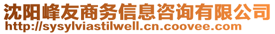 沈陽(yáng)峰友商務(wù)信息咨詢有限公司