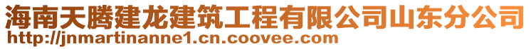 海南天騰建龍建筑工程有限公司山東分公司