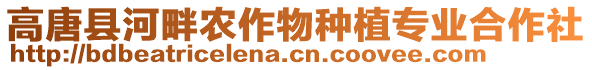 高唐縣河畔農(nóng)作物種植專業(yè)合作社