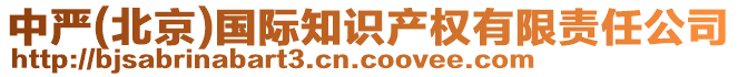 中嚴(yán)(北京)國際知識產(chǎn)權(quán)有限責(zé)任公司