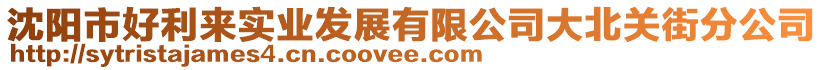 沈陽(yáng)市好利來(lái)實(shí)業(yè)發(fā)展有限公司大北關(guān)街分公司