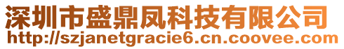 深圳市盛鼎鳳科技有限公司