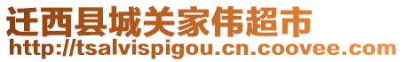 遷西縣城關(guān)家偉超市