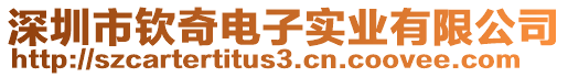 深圳市欽奇電子實業(yè)有限公司