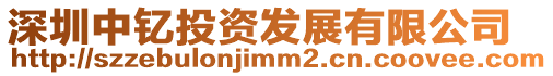 深圳中釔投資發(fā)展有限公司