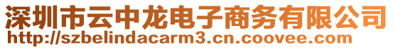 深圳市云中龍電子商務(wù)有限公司