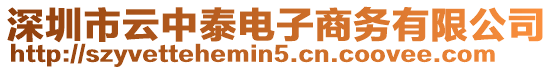 深圳市云中泰電子商務有限公司