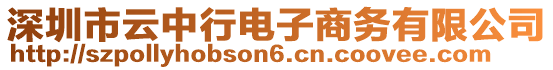 深圳市云中行電子商務(wù)有限公司