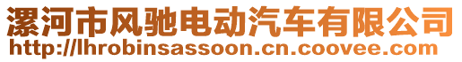 漯河市風(fēng)馳電動汽車有限公司