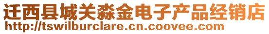 遷西縣城關淼金電子產(chǎn)品經(jīng)銷店