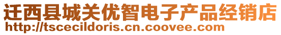 遷西縣城關優智電子產品經銷店