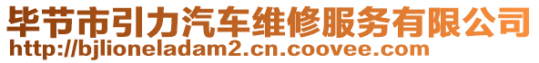 畢節(jié)市引力汽車維修服務(wù)有限公司