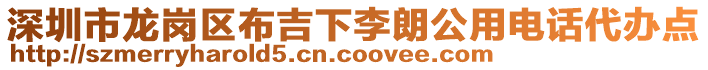 深圳市龍崗區布吉下李朗公用電話代辦點