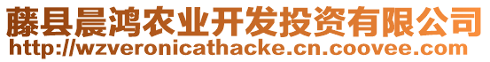 藤縣晨鴻農(nóng)業(yè)開發(fā)投資有限公司