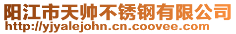 陽(yáng)江市天帥不銹鋼有限公司