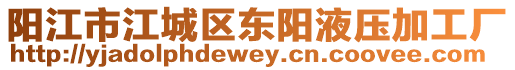 陽江市江城區(qū)東陽液壓加工廠