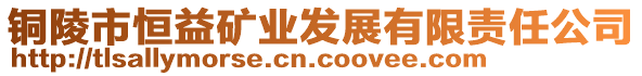 銅陵市恒益礦業(yè)發(fā)展有限責任公司