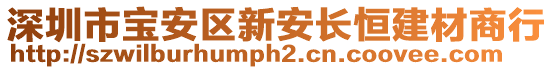 深圳市寶安區(qū)新安長恒建材商行