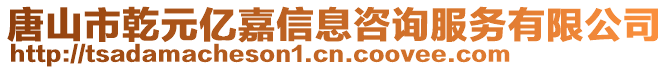 唐山市乾元億嘉信息咨詢(xún)服務(wù)有限公司