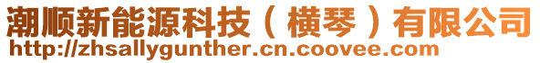 潮順新能源科技（橫琴）有限公司