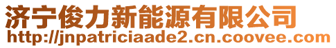 濟(jì)寧俊力新能源有限公司