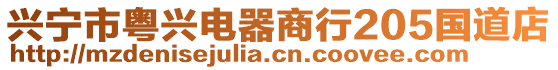 興寧市粵興電器商行205國道店