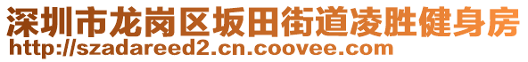 深圳市龍崗區(qū)坂田街道凌勝健身房