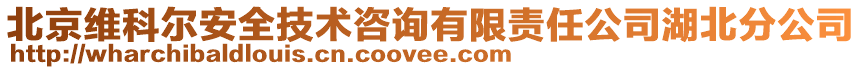 北京維科爾安全技術(shù)咨詢有限責(zé)任公司湖北分公司