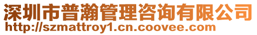 深圳市普瀚管理咨詢有限公司